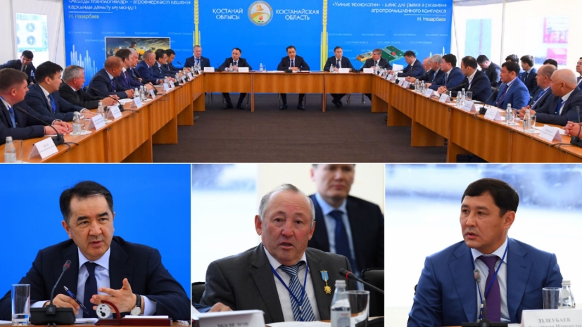 Костанайская область названа ведущим регионом по объемам сельхозпродукции