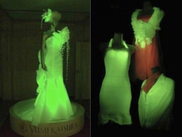 Ученые вывели шелкопряда, дающего светящийся шелк