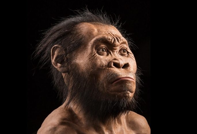 Найдены следы первой культурной революции в истории человечества