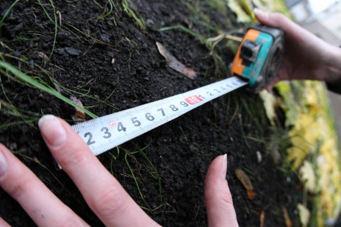 Определены сроки и процедуры аренды земель сельхозназначения