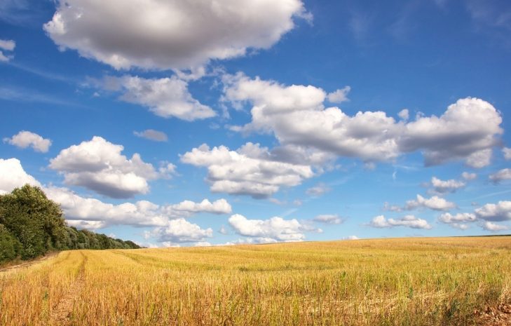 Свыше 75 тысяч гектаров земли вернули государству в РК
