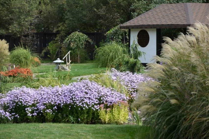 «Японская осень» наступила в Алматы. ФотоЭксклюзив