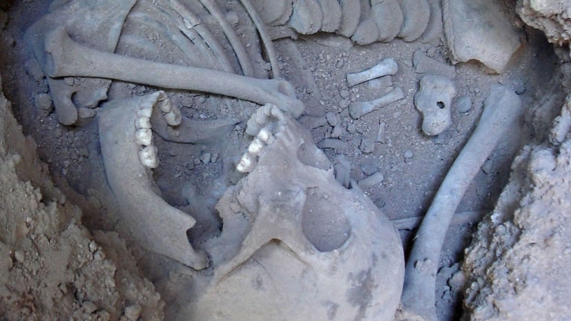 Останки неизвестных до сих пор древних людей обнаружили в Сибири