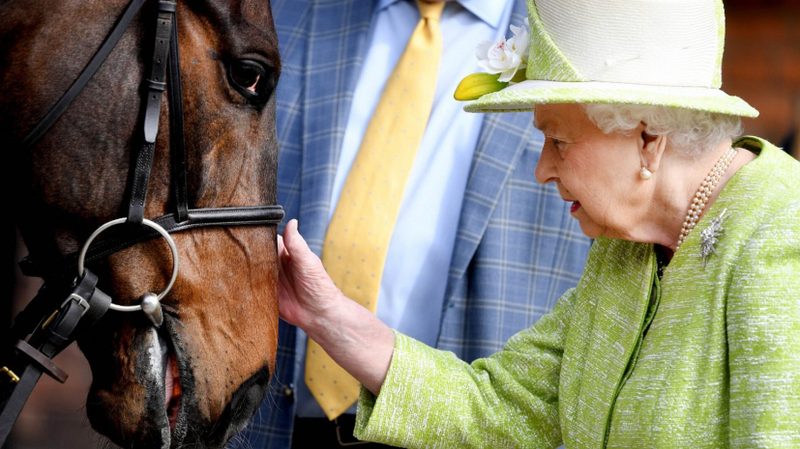 За миллион фунтов проданы лошади Елизаветы II