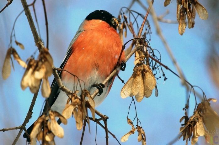 Погода без осадков ожидается в Казахстане