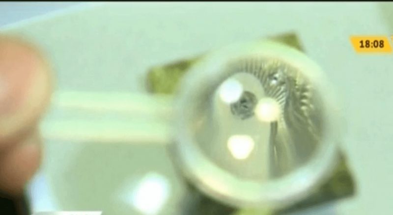 Художник из Омска нарисовал герб Казахстана на рисовом зернышке