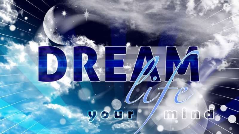 Полицейские разыскивают пострадавших от действий компании ТОО «Dream Life»