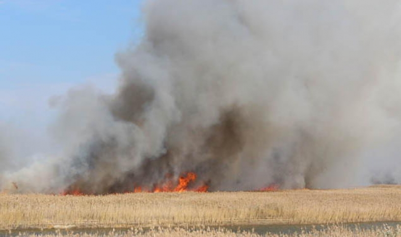12 дней пожарные не могут потушить пламя на побережье Каспия
