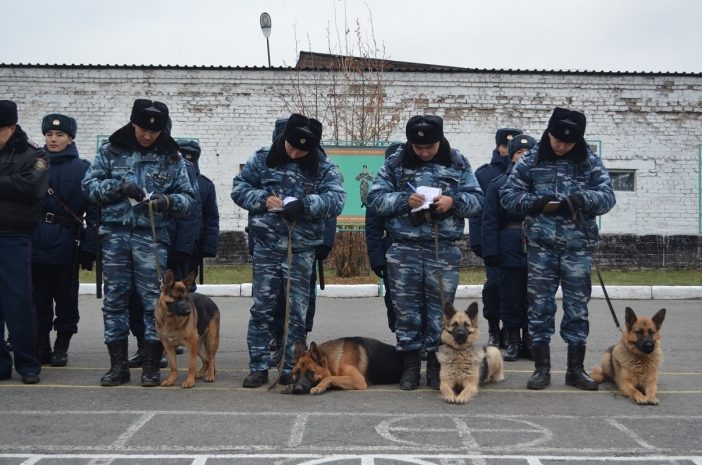 430 нарушителей за сутки задержали транспортные полицейские в ВКО