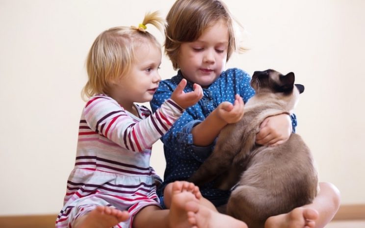 Восемь причин завести домашнее животное для ребенка