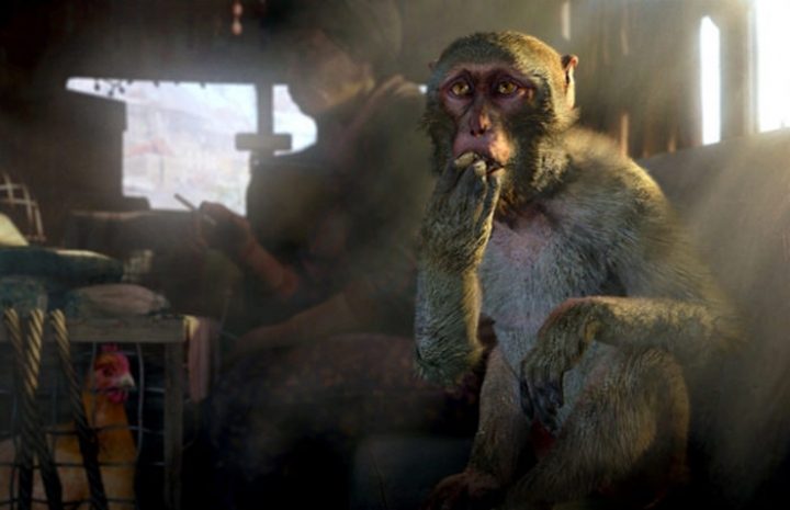 Новые игры Ubisoft вернулись в Steam