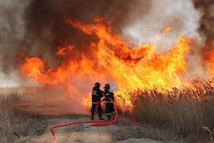 200 гектаров камыша горит в Абайской области