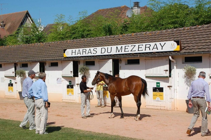 Казахстанский миллионер приобрел еще одну конеферму в Европе