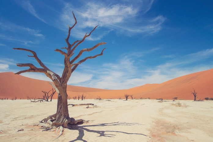 Борьба с изменением климата под угрозой — ООН