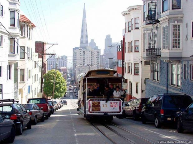 Делать селфи в трамваях и отправлять Байбеку призывает известный эколог