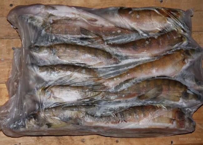 В Павлодарской области предотвратили контрабанду 2,5 тонн судака (ВИДЕО)