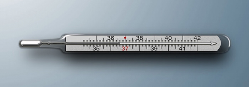 О чем говорит температура тела