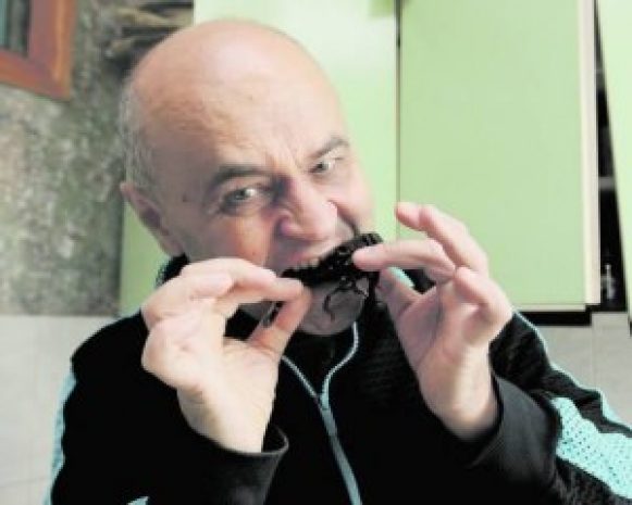 ООН планирует накормить мир насекомыми