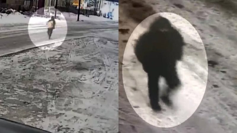 Қарағандыда ірі сомасы бар сейфті ұрлау ісін полиция ашты