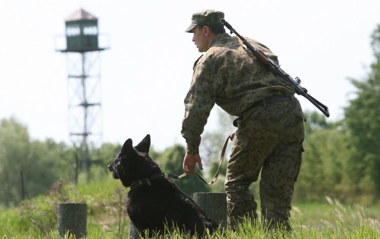 Незаконная миграция пресечена в Жамбылской области