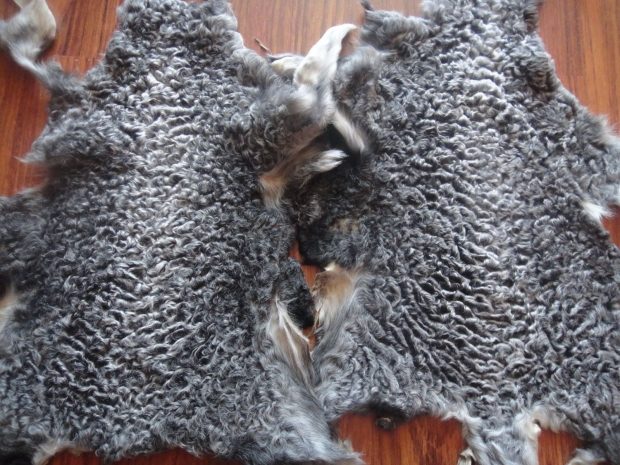 Перевозивший каракулевые шкуры россиянин задержан в Атырауской области