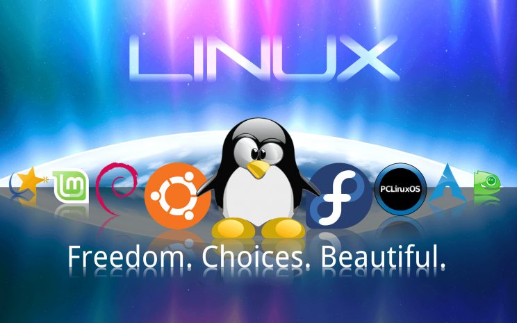 Linux как бесплатная альтернатива Windows XP