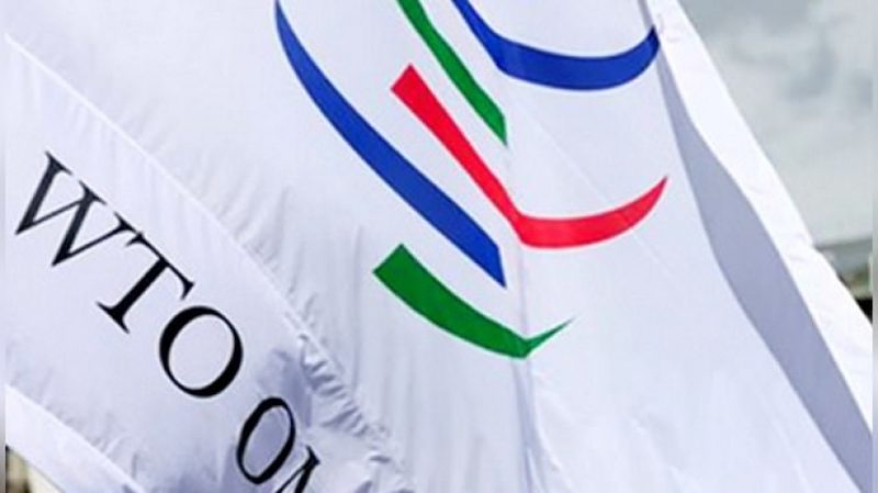 Украина через иск в ВТО пытается добиться транзита товаров в Казахстан