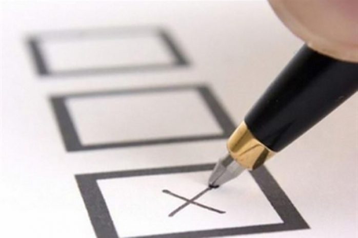 Австрийцы выбирают президента