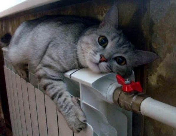 Алматинцам сделают перерасчёт оплаты за тепло