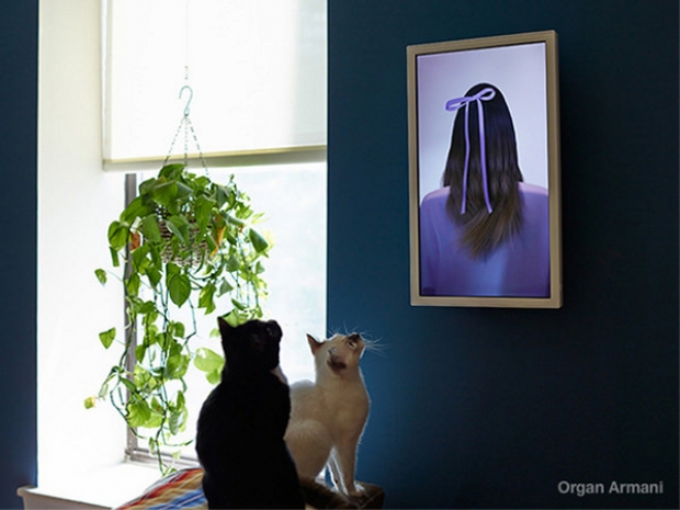 «Фоторамки будущего» ищут поддержки на KickStarter