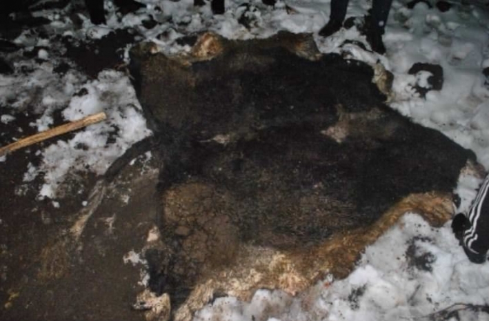 Полиция Шымкента по «горячим следам» раскрыла кражу скота