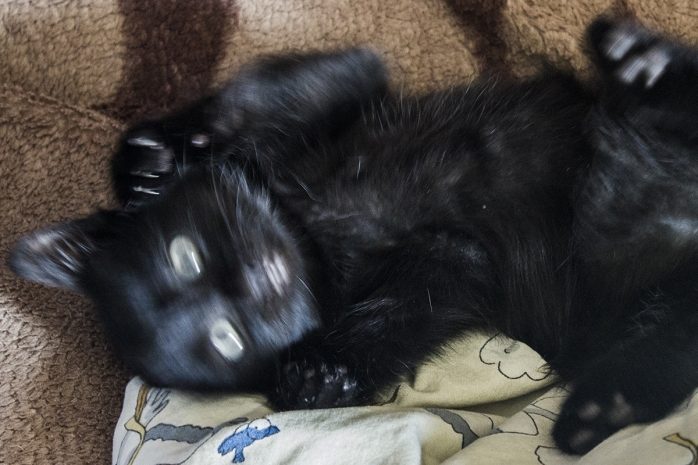 Почему люди хранят неудачные фотографии на смартфонах