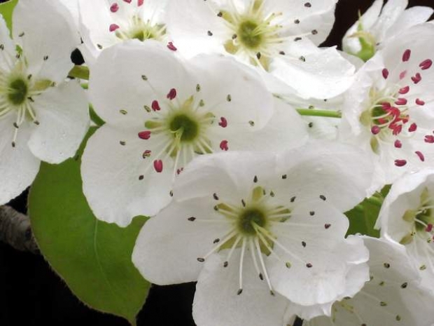 Теплая погода порадует казахстанцев на НаурызЭксклюзив