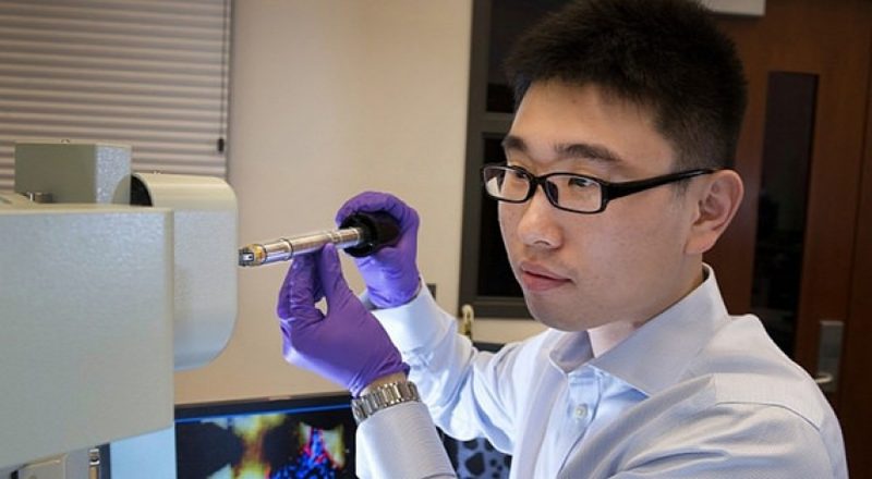 Ученые нашли способ остановить «деградацию» батареек