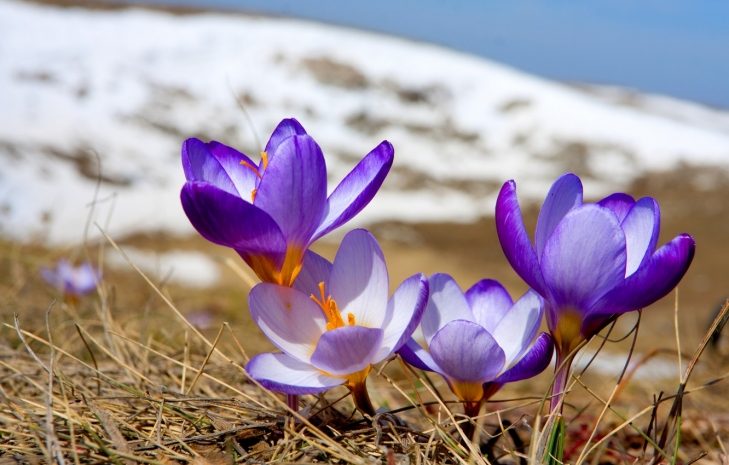 Снег и дожди ожидаются на северо-западе Казахстана