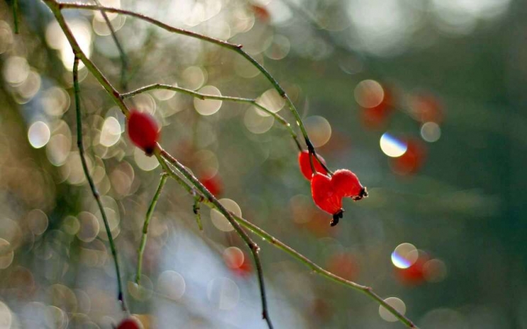 В Астане похолодает до нуля градусов