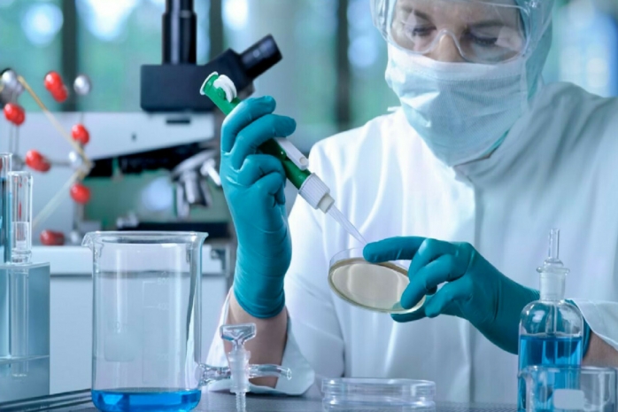 Новый вид коронавируса выращен учеными Австралии