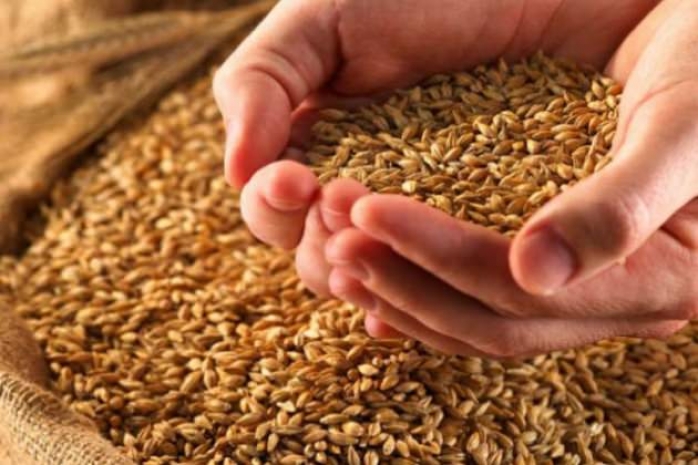 Урожай зерновых и бобовых культур уменьшился на 5,9%