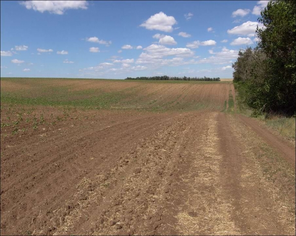 Назарбаев признал недоработки в Земельном кодексе