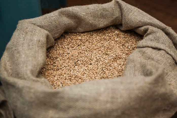 Экспорт зерна и сахара в страны ЕАЭС временно запретила Россия