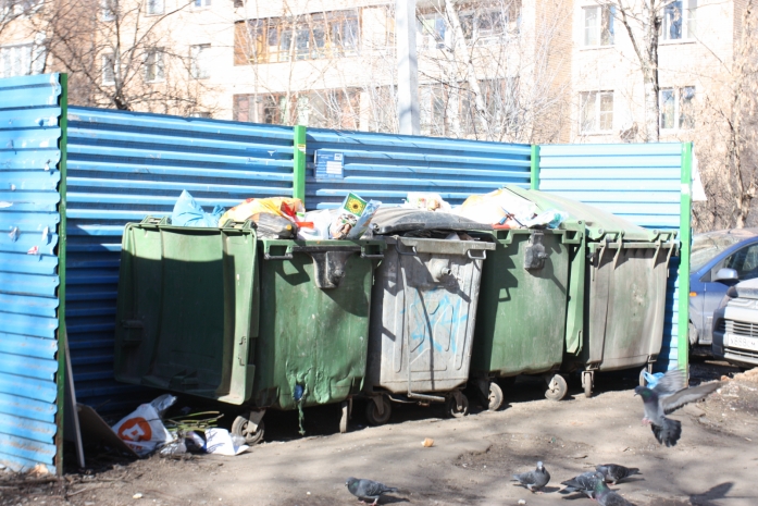 В Павлодаре в мусорном баке найден младенец