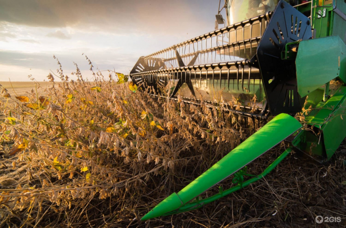 Метеоусловия повлияли на сбор урожая в Казахстане