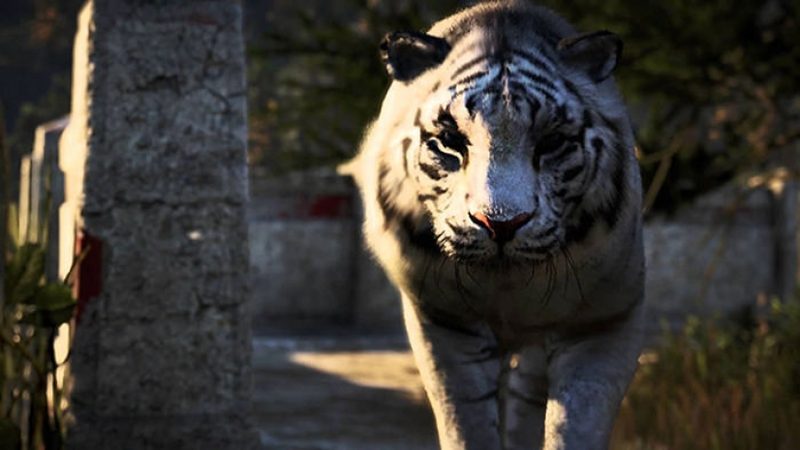 Ubisoft намекнула на возможное место действия следующей Far Cry