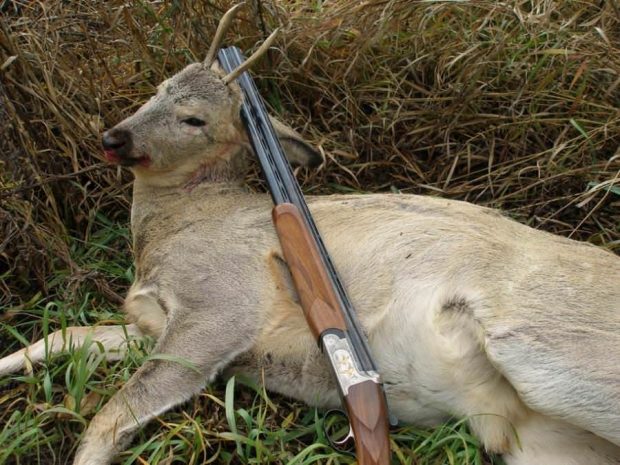 Врач из больницы Шымкента задержан по подозрению в браконьерстве