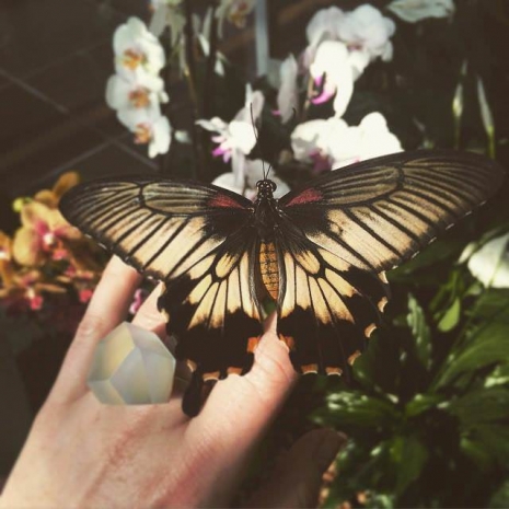 Esentai Mall ярко встречает весну