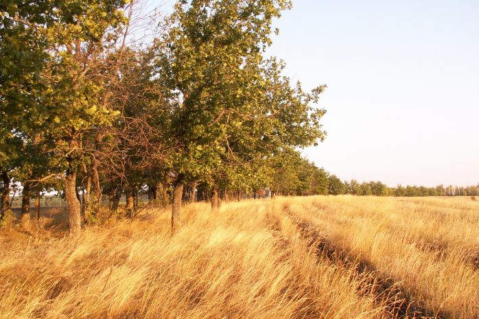 Пропавший год назад мужчина найден в ВКО