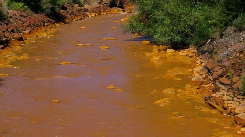 В Мексике токсичные химикаты из шахты попали в реку Баканучи