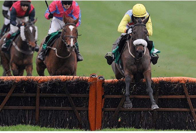 В Италии выброшенного из седла жокея лягнула лошадь и переехала скорая