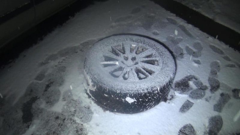 В Алматы задержаны «колесные воры» (ФОТО)