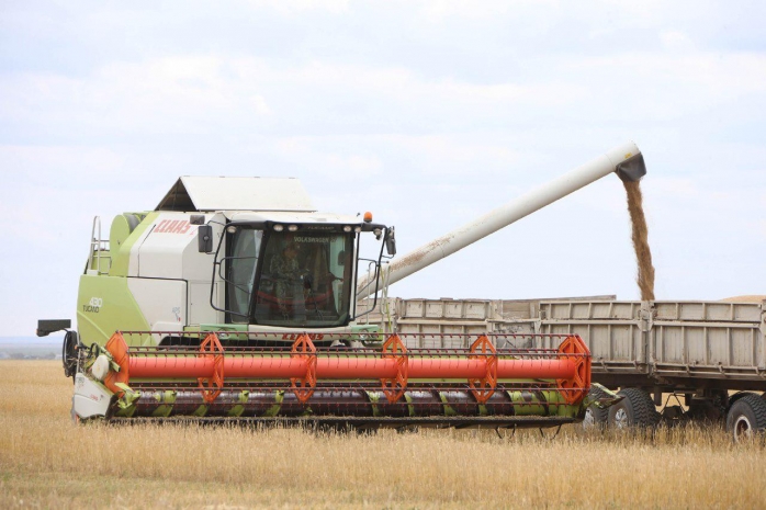 В правительстве рассказали об уборке урожая в регионах Казахстана